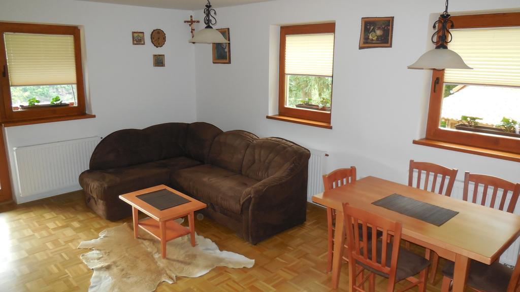 Apartment Savinja