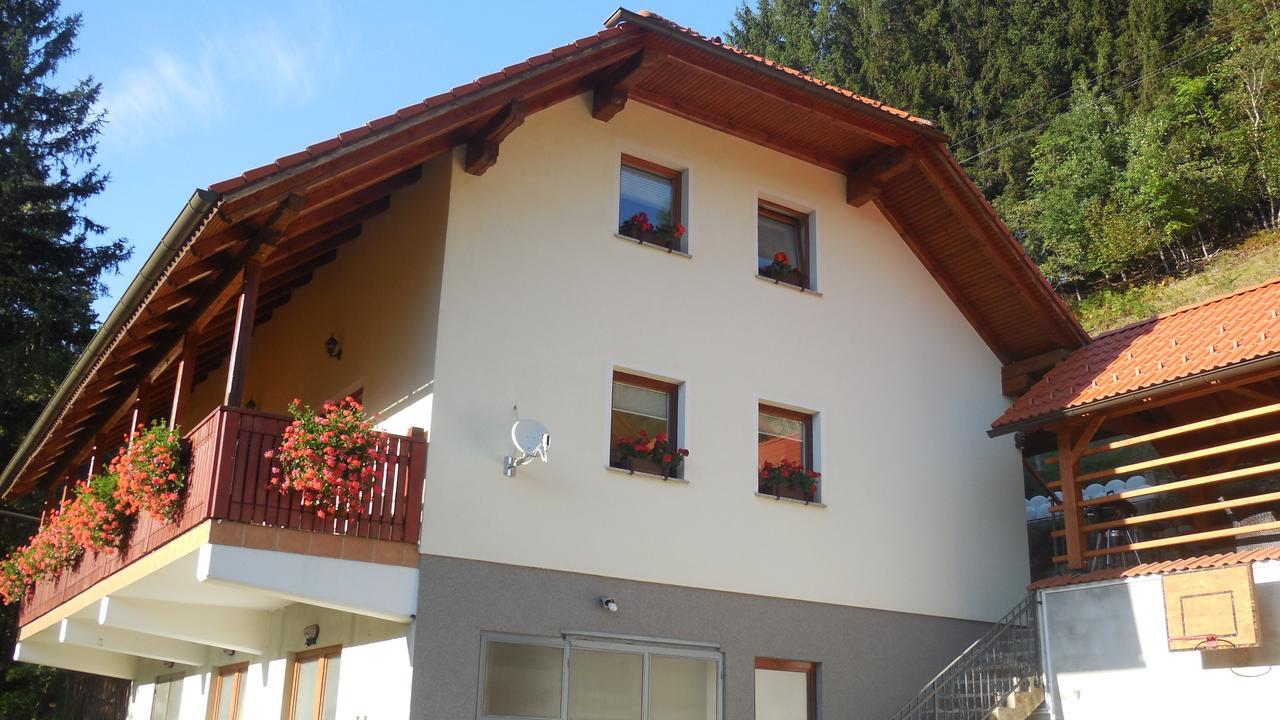 Apartment Savinja *